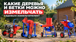 Какие деревья и ветки можно измельчать садовым измельчителем?