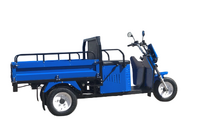Грузовой трицикл Draxter ТМГ 250 8 л.с. окрашенный