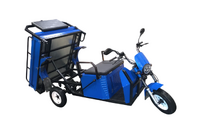 Грузовой трицикл Draxter ТМГ 250 8 л.с. окрашенный