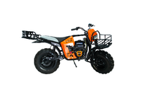 Мотовездеход DraXter Profi (6,5л.с.-3А-РС, Центробежное, D22)