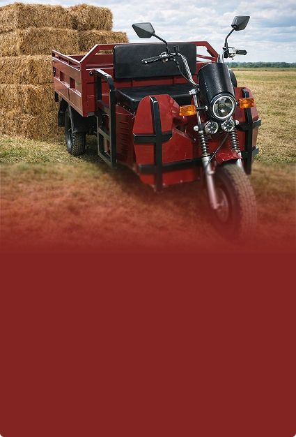 Грузовой трицикл  Draxter ТМГ 500 15 л.с.