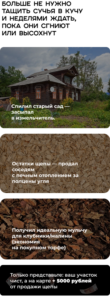 Садовый измельчитель овощей DRAXTER ОВ-250 электрический 220V